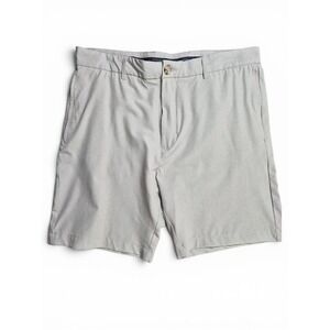 Tailorbyrd Men's Light Grey Stretch Golf Shorts 33 Performance Travel Resort
